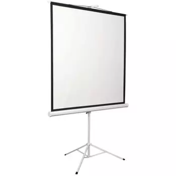 Экран Digis 172x172см Kontur-D DSKD-1104 1:1, напольный, рулонный