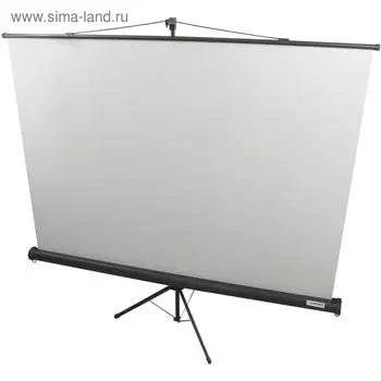 Экран Lumien 160x160 Eco View LEV-100105 1:1, напольный, рулонный