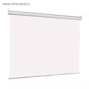 Экран Lumien 180x180 Eco Picture LEP-100102 1:1, настенно-потолочный, рулонный