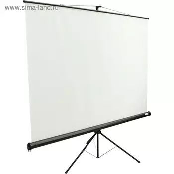 Экран Lumien 200x200 Eco View LEV-100103 1:1, напольный, рулонный