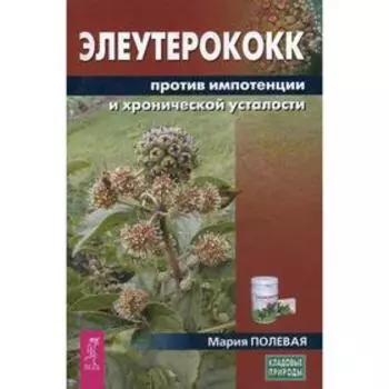 Элеутерококк против импотенции и хронической усталости. Полевая М.А.