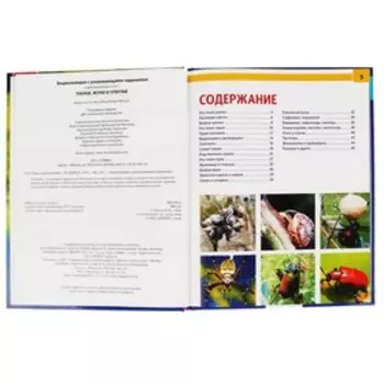 Энциклопедия А4 «Пауки, жуки, улитки»