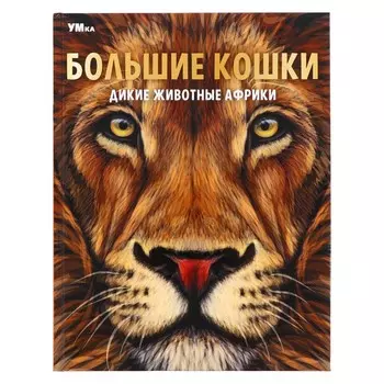 Энциклопедия «Большие кошки. Дикие животные Африки», 48 страниц
