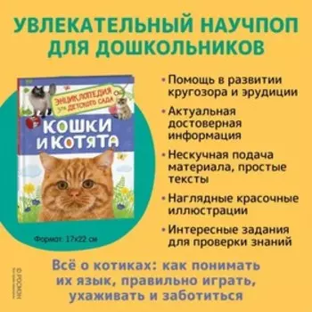 Энциклопедия для детского сада «Кошки и котята»