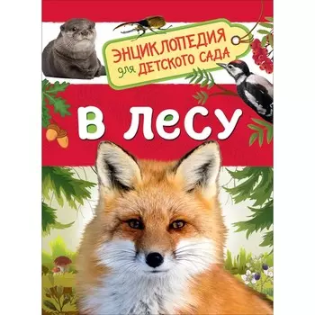 Энциклопедия для детского сада «В лесу»