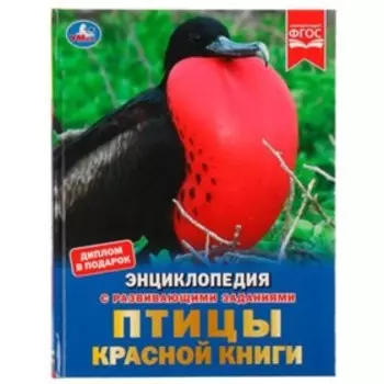 Энциклопедия с развивающими заданиями. Птицы Красной книги