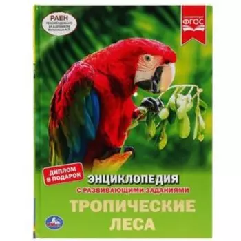 Энциклопедия с развивающими заданиями. Тропические леса