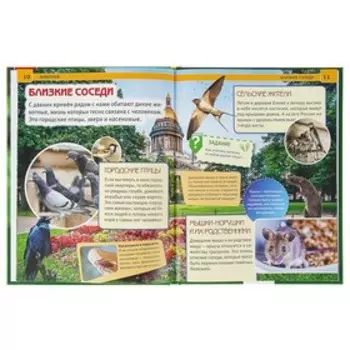 Энциклопедия с развивающими заданиями «Животные»