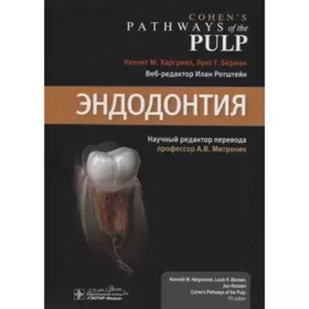 Эндодонтия