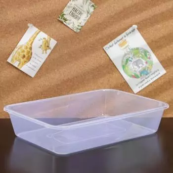 Ёмкость для хранения, 3 л, 30,5×22×6 см