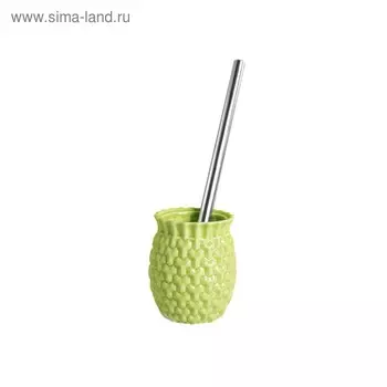 Ёршик Ananas