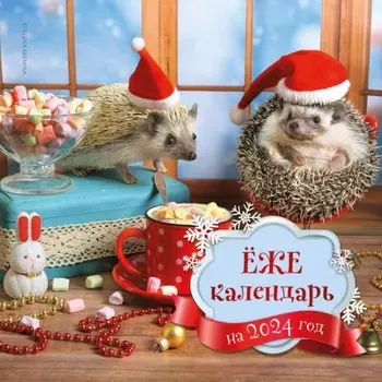 Ёжекалендарь (маршмеллоу). Календарь настенный на 2024 год, 30х30 см