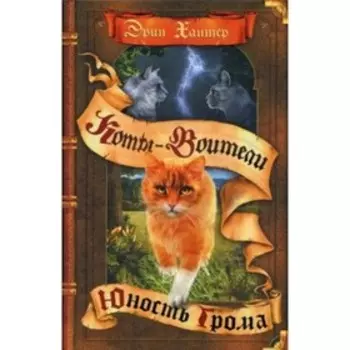 Юность Грома. Хантер Э.