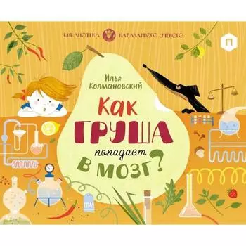 Как груша попадает в мозг? Колмановский И.
