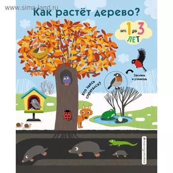 Как растет дерево?