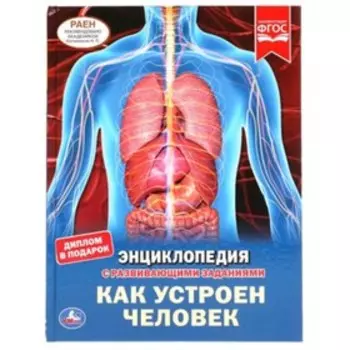 Как устроен человек. Энциклопедия с развивающими заданиями