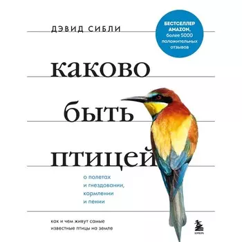 Каково быть птицей: о полетах и гнездовании, кормлении и пении. Как и чем живут самые известные птицы на земле