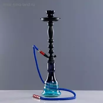 Кальян «Апис», 53 см, 1 трубка, черный