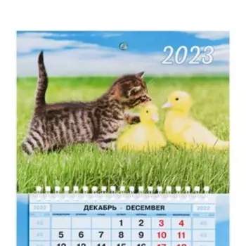 Календарь квартальный, трио "Котенок и утки" 2023 год, 29х19 см