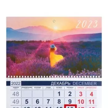 Календарь квартальный, трио "Лавандовый закат" 2023 год, 29х49 см