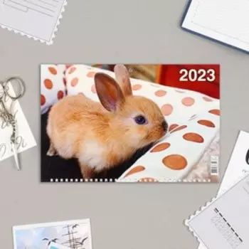 Календарь квартальный, трио "Символ Года - 11" 2023 год, 31х69см