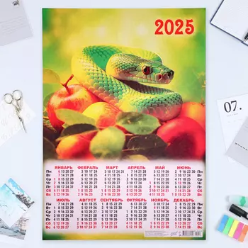 Календарь настенный 2025 год, листовой А2 4260 см