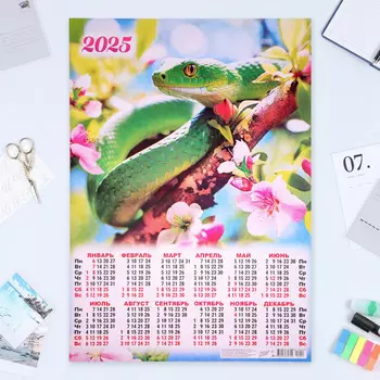 Календарь настенный 2025 год, листовой А2 4260 см