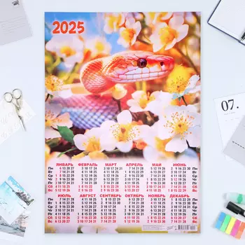Календарь настенный 2025 год, листовой А2 4260 см