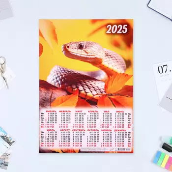 Календарь настенный 2025 год, листовой А3 3042 см