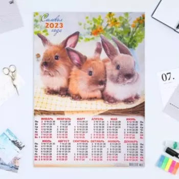 Календарь листовой "Символ Года 2023 - 45" 2023 год, бумага, А2