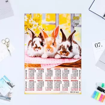 Календарь листовой "Символ Года 2023 - 5" 2023 год, бумага, А3