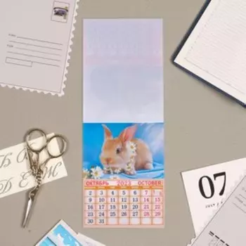 Календарь отрывной на магните "Год Кролика 2023!" 13х9,5см, кролик, морковка