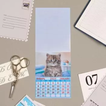 Календарь отрывной на магните "Кошки" 13х9,5см, 2023 год