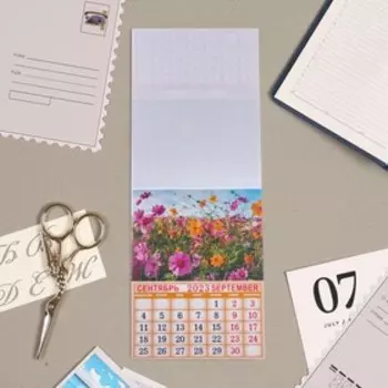 Календарь отрывной на магните "Полевые цветы" 2023 год, 13х9,5см