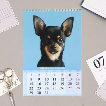 Календарь на пружине без ригеля "Щенки" 2024 год, 17х25 см
