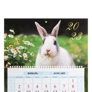 Календарь на пружине "Символ года 1" премиум качество, 32х29 см, 2023 год