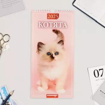 Календарь на ригеле «Котята» 2025 год, 16.534 см