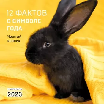 Календарь настенный «12 фактов о символе года. Черный кролик» 2023 год, 30х30 см