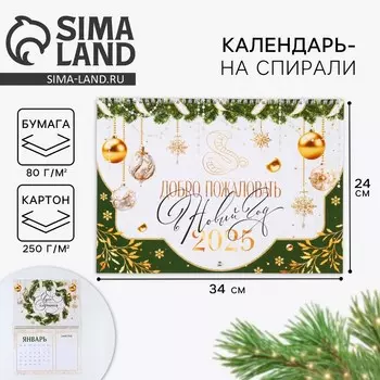 Новый год. Календарь 2025 настенный, на спирали «Новый год: Добро пожаловать», 34 х 24 см