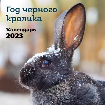 Календарь настенный «Год черного кролика» 2023 год, 30х30 см