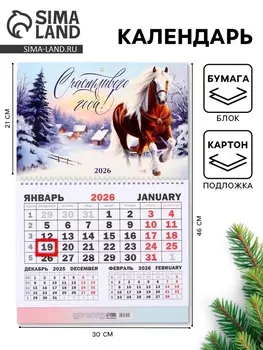 Календарь настенный квартальный 2026 «Счастливого года», 3046 см
