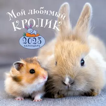 Календарь настенный «Мой любимый кролик» 2023 год, 30х30 см
