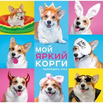 Календарь настенный «Мой яркий корги» на 2023 год, 30х30 см