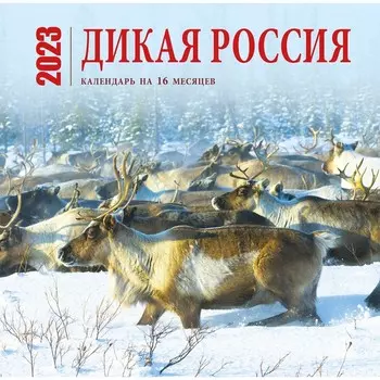 Календарь настенный на 16 месяцев «Дикая Россия» 2023 год, 30х30 см