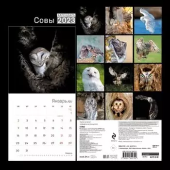 Календарь настенный «Совы» 2023 год, 30x30 см