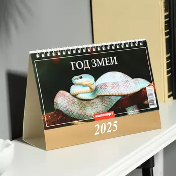Календарь настольный, домик «Символ года 2025», 1420 см