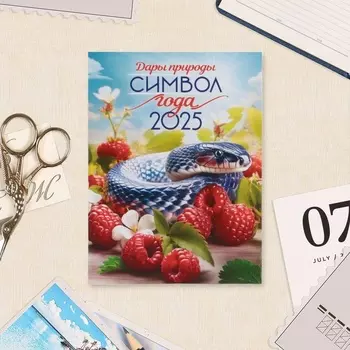 Календарь отрывной на магните, 2025 год, 9.513 см