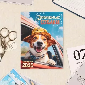 Календарь отрывной на магните «Забавные собаки» 2025 год, 9.513 см