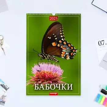 Календарь перекидной на ригеле А3 «Бабочки» 2025 год, 3248 см