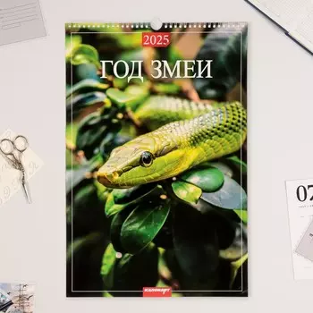 Календарь настенный 2025 год, на ригеле А3 3248 см